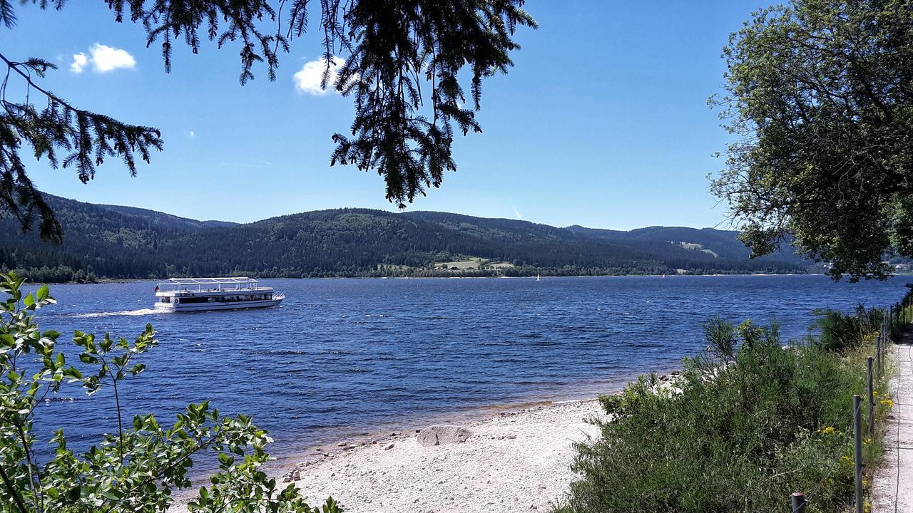 Hochschwarzwald-hof 2*